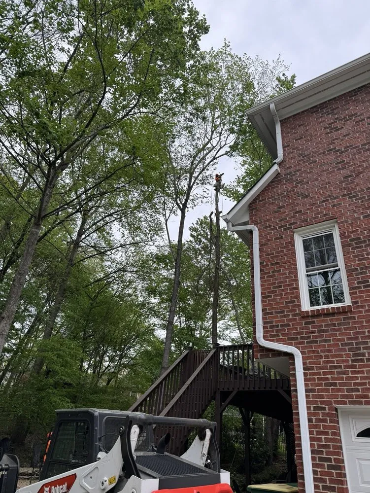 Professional lawn care service for homes across Hamptonville, NC - A Gonzalez Tree Services