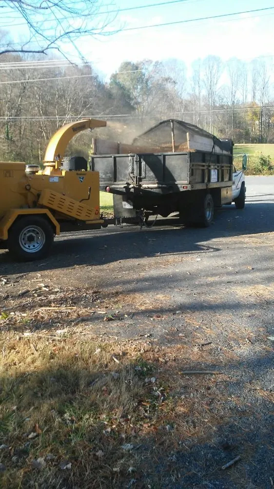 Affordable garden landscaping in Hamptonville, NC by A Gonzalez Tree Services