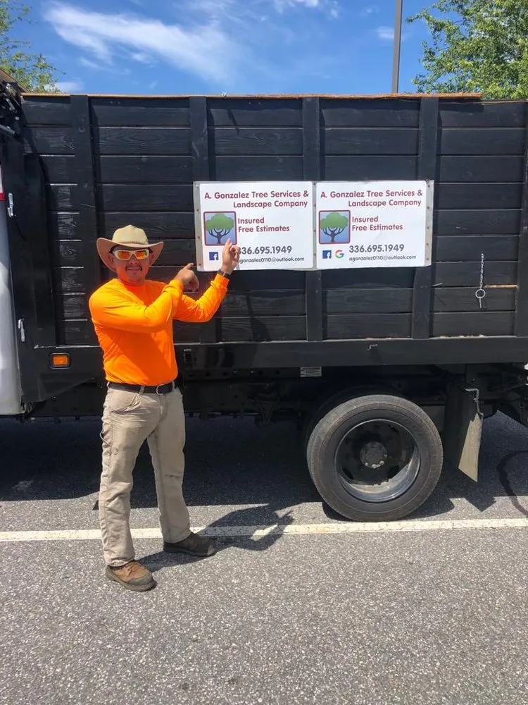 Professional lawn mowing service for year-round maintenance across Hamptonville, NC - A Gonzalez Tree Services