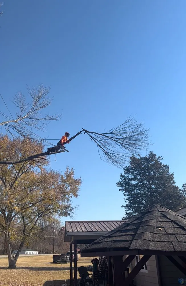 Affordable landscape installation in Hamptonville, NC by A Gonzalez Tree Services