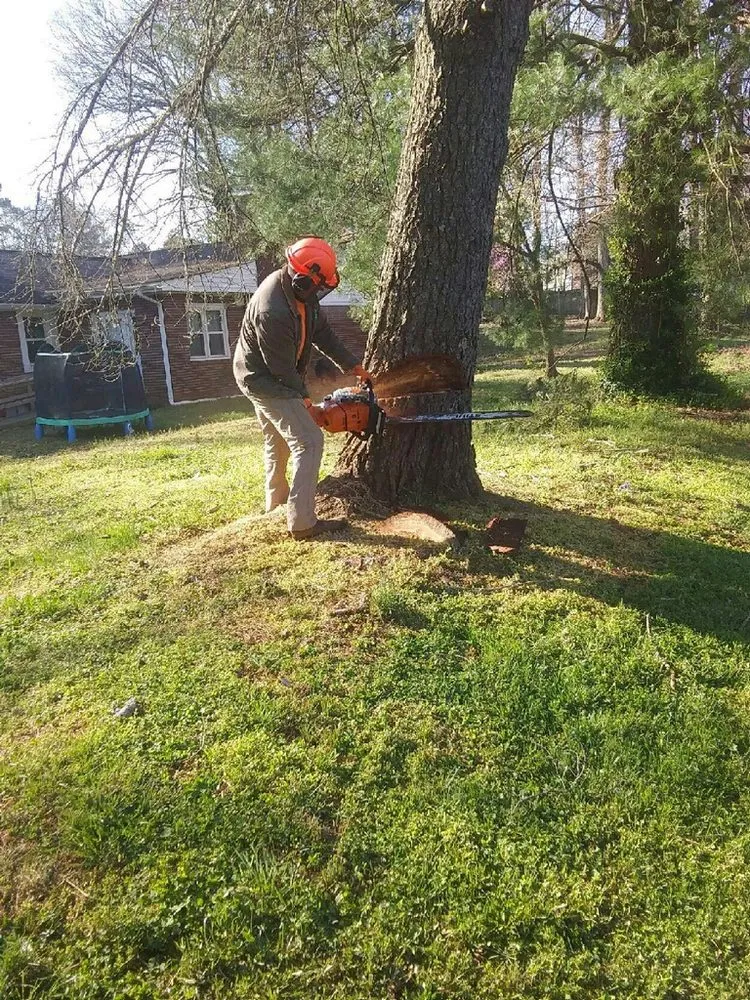 Reliable outdoor landscaping in Hamptonville, NC - A Gonzalez Tree Services