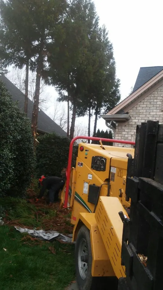 Professional garden landscaping with custom design across Hamptonville, NC - A Gonzalez Tree Services