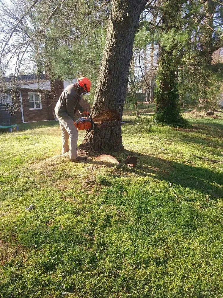 Trusted residential landscaping for homes across Hamptonville, NC - A Gonzalez Tree Services