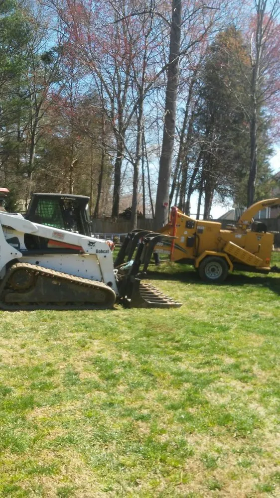 Local yard maintenance for year-round maintenance across Hamptonville, NC - A Gonzalez Tree Services