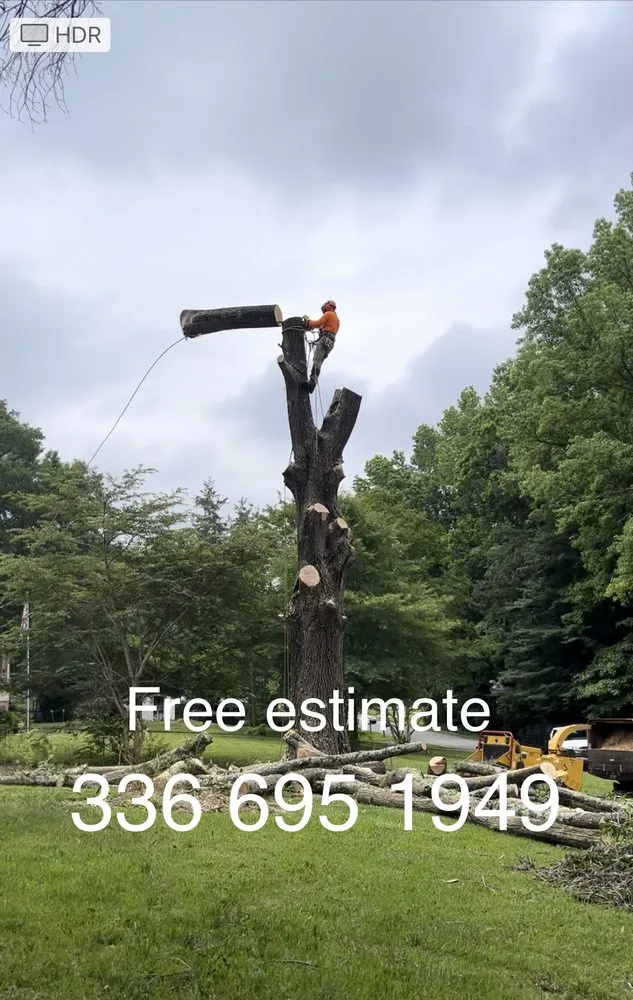 Expert lawn care service experts serving Hamptonville, NC - A Gonzalez Tree Services