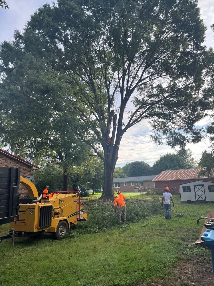 Top-rated yard cleanup service in Hamptonville, NC - A Gonzalez Tree Services