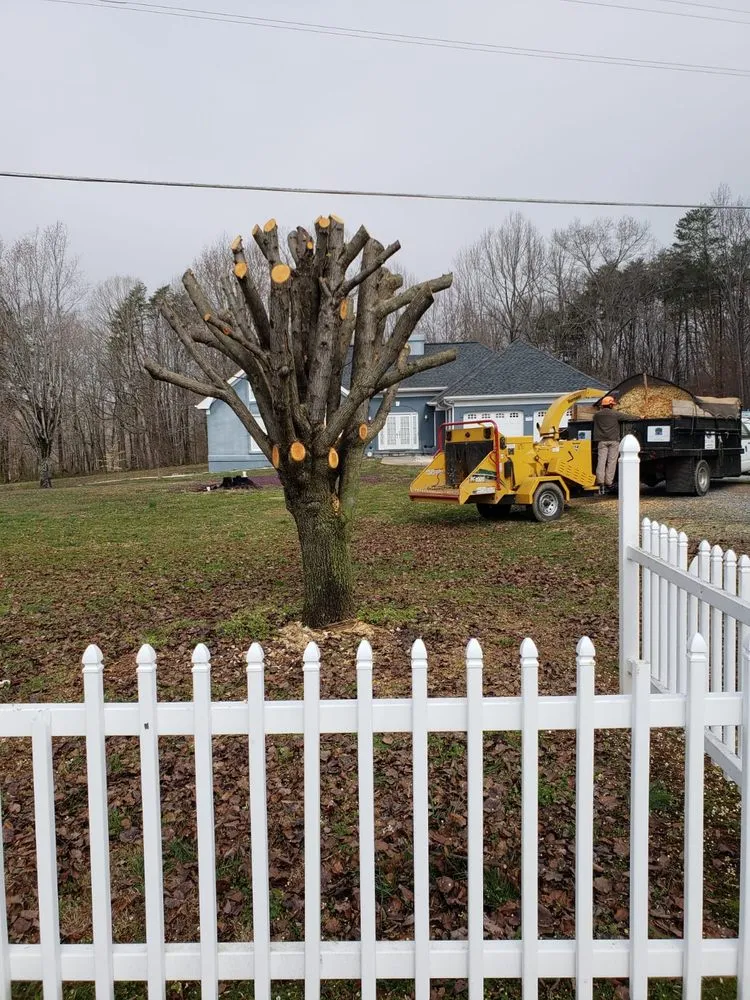 Top-rated lawn mowing service near you across Hamptonville, NC - A Gonzalez Tree Services