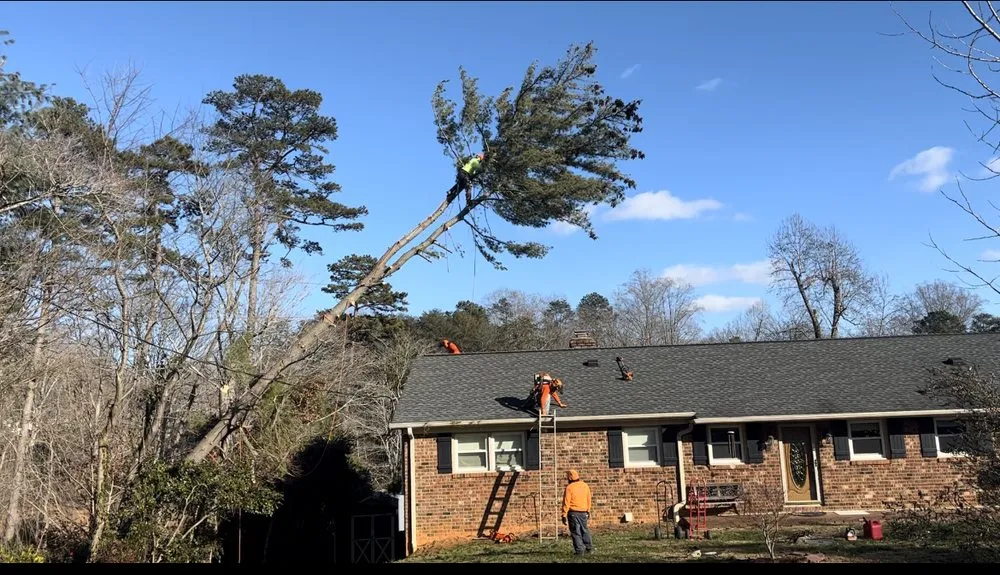 Affordable yard maintenance with custom design across Hamptonville, NC - A Gonzalez Tree Services