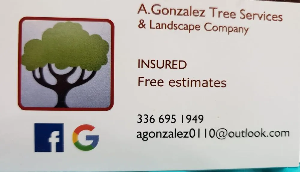 Trusted outdoor landscaping in Hamptonville, NC by A Gonzalez Tree Services