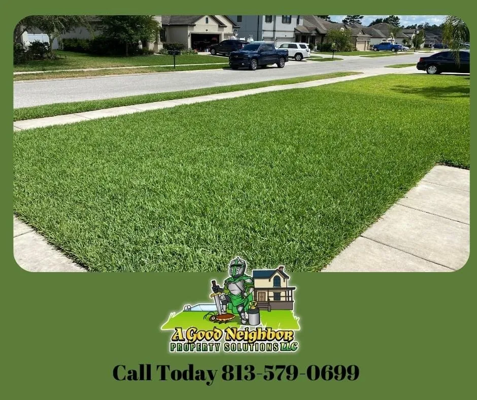 Custom landscaping services in Spring Hill, FL by A Good Neighbor Property Solutions