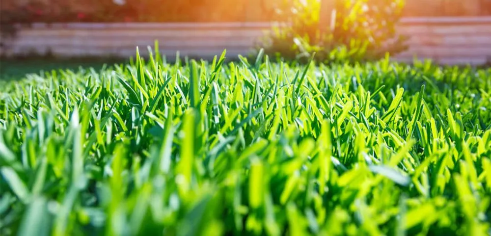 Trusted landscape design in Riverview, FL by A Good Thing Property Maintenance