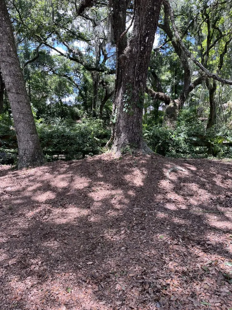 Local lawn mowing service for homes across Riverview, FL - A Good Thing Property Maintenance