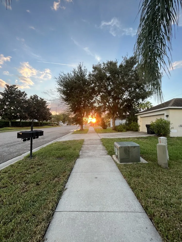 Reliable landscaping services experts serving Riverview, FL - A Good Thing Property Maintenance