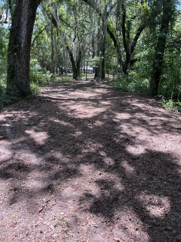 Custom landscape installation experts serving Riverview, FL - A Good Thing Property Maintenance