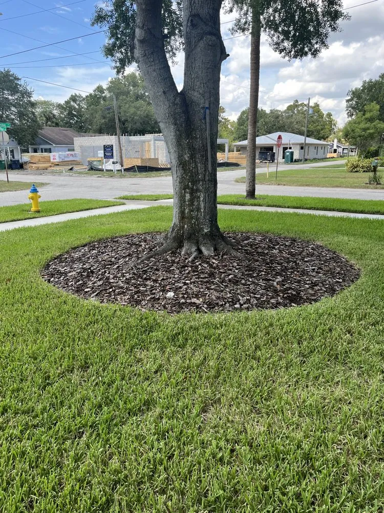 Expert landscape design in Riverview, FL by A Good Thing Property Maintenance
