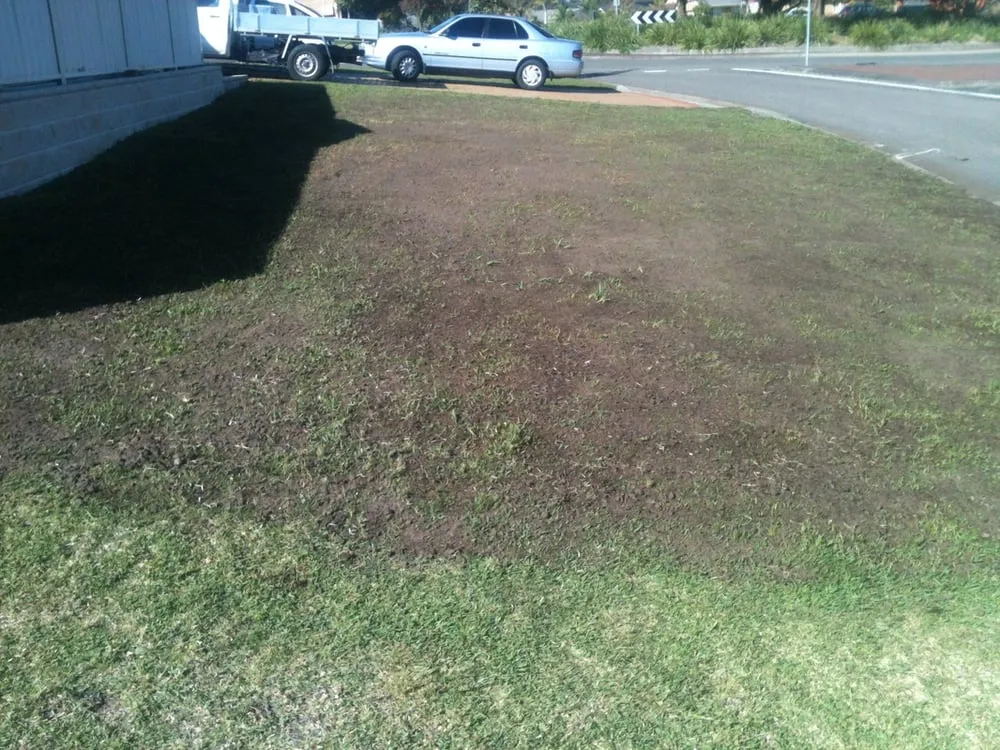 Reliable landscape design for residential properties in Ostrander, OH by A Gorgeous Lawn