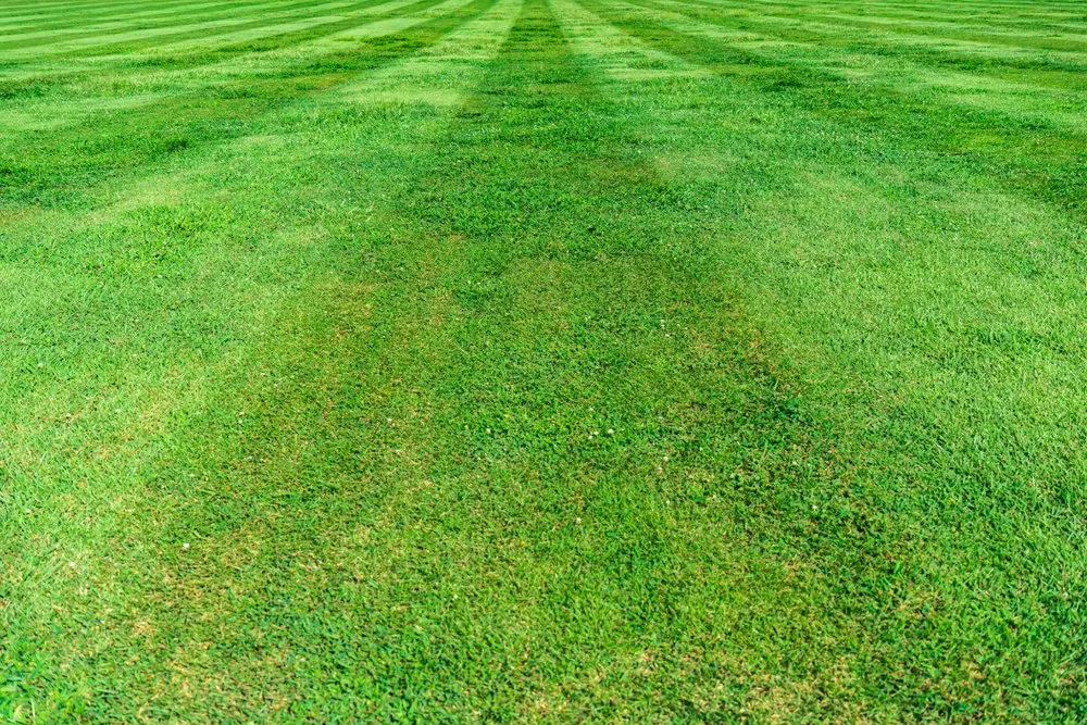 Trusted lawn mowing service experts serving Ansonia, CT - A Grade Landscaping
