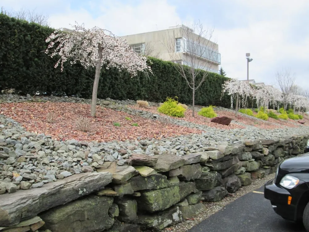 Expert landscaping services in Johnson City, NY - A Great Choice Lawn Care & Landscaping