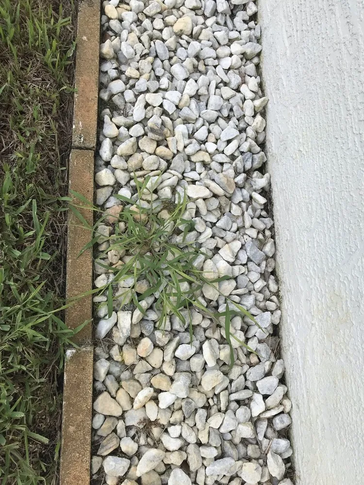 Custom landscape installation in Spring Hill, FL by A Green 365 Lawn And Pest Solutions