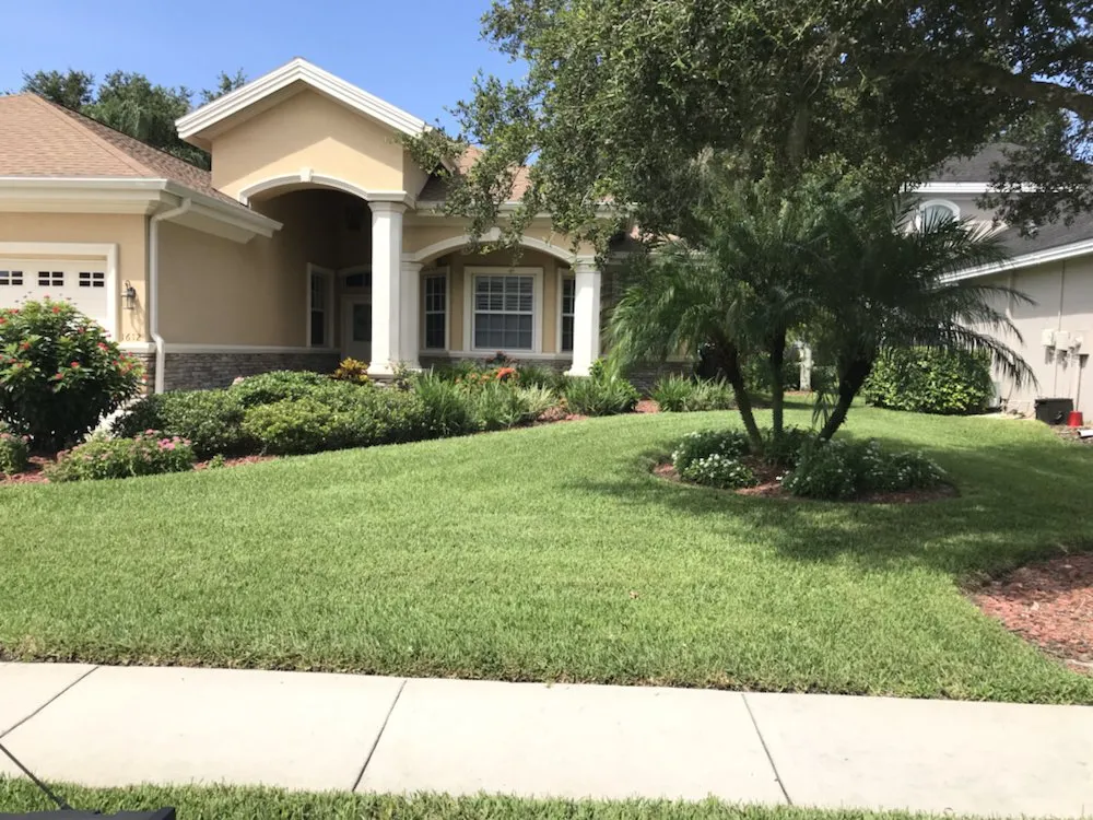 Custom outdoor landscaping for residential properties in Spring Hill, FL by A Green 365 Lawn And Pest Solutions