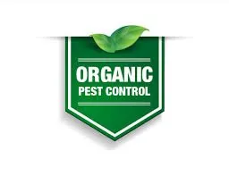 Trusted outdoor landscaping with custom design in Spring Hill, FL by A Green 365 Lawn And Pest Solutions