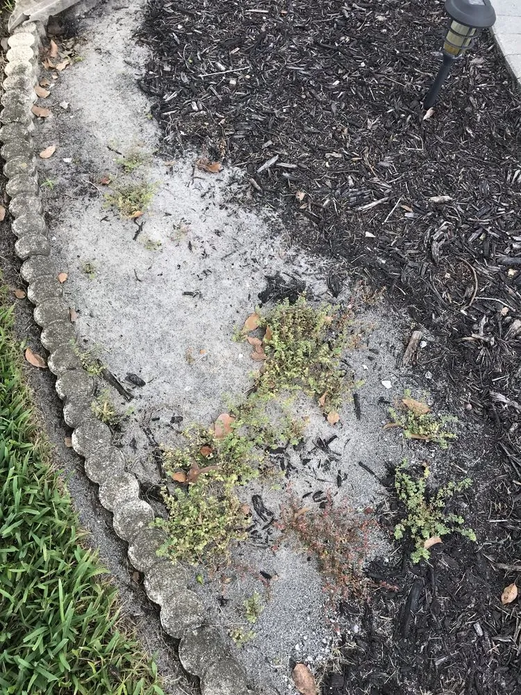 Professional residential landscaping in Spring Hill, FL - A Green 365 Lawn And Pest Solutions