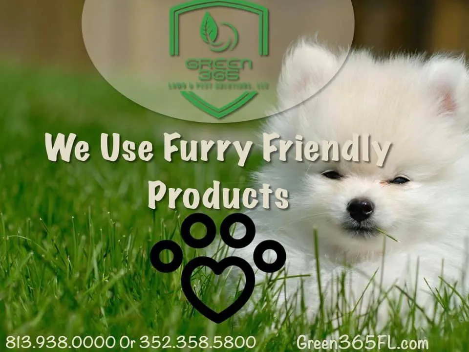 Top-rated residential landscaping experts serving Spring Hill, FL - A Green 365 Lawn And Pest Solutions