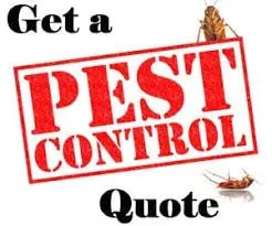 Affordable yard maintenance for residential properties across Spring Hill, FL - A Green 365 Lawn And Pest Solutions