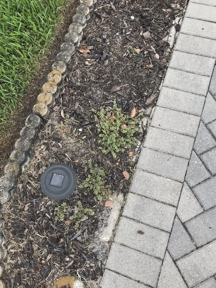 Top-rated lawn care service for beautiful yards across Spring Hill, FL - A Green 365 Lawn And Pest Solutions