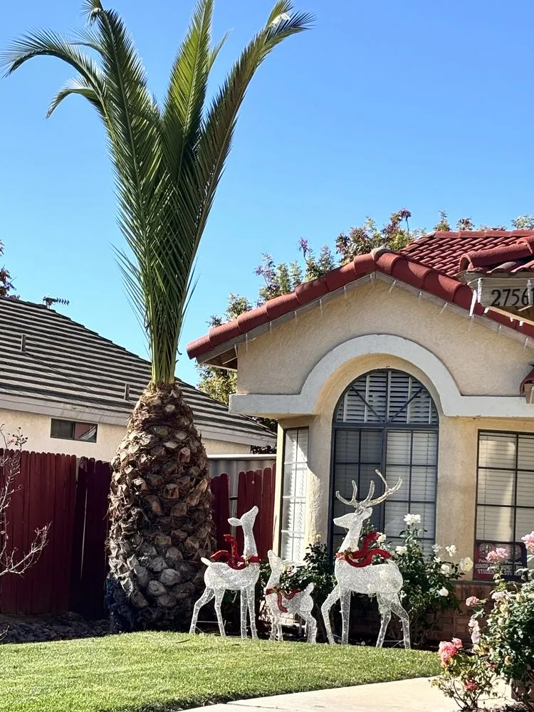 Professional landscape design for outdoor upgrades across Pomona, CA - A+ Green Cutz