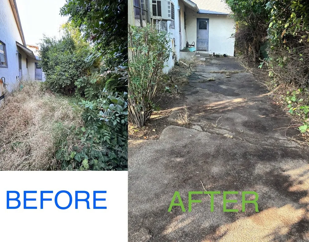 Reliable lawn mowing service in Pomona, CA - A+ Green Cutz