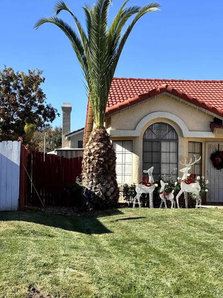 Reliable residential landscaping in Pomona, CA - A+ Green Cutz