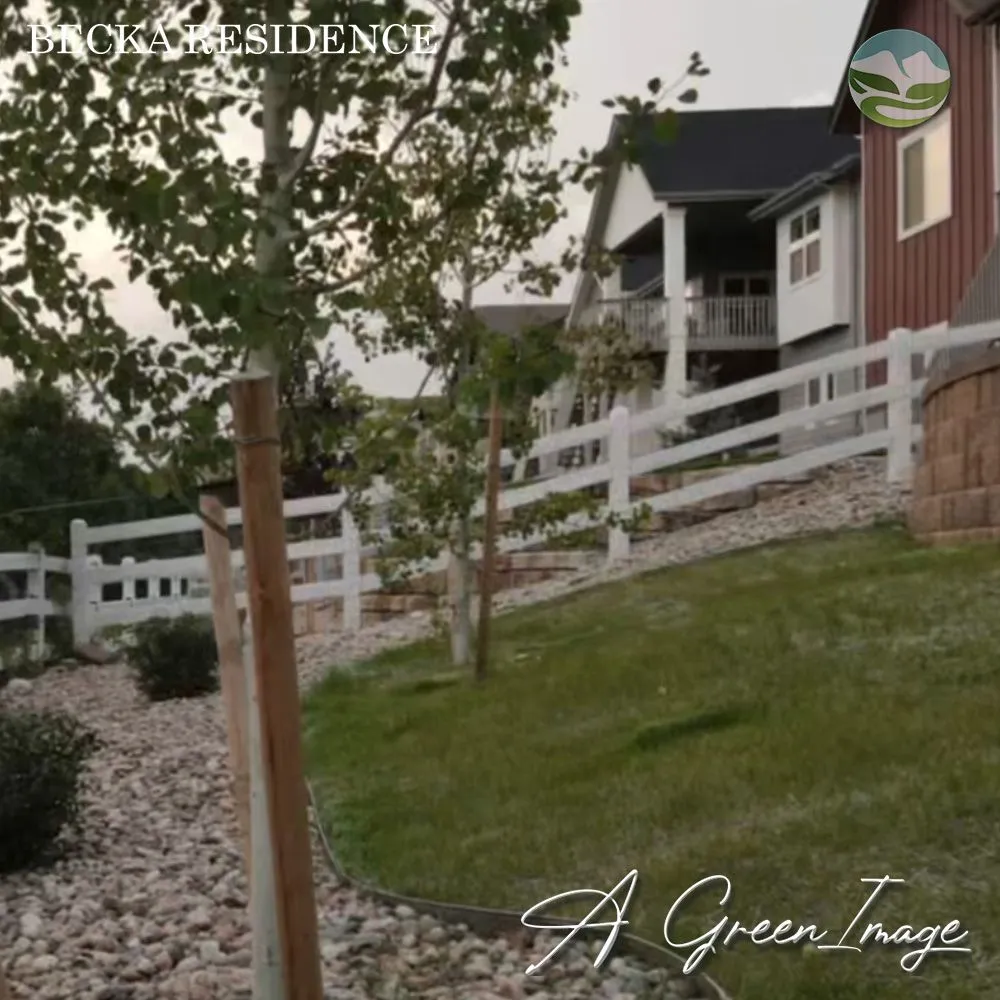 Affordable yard cleanup service experts serving Colorado Springs, CO - A Green Image