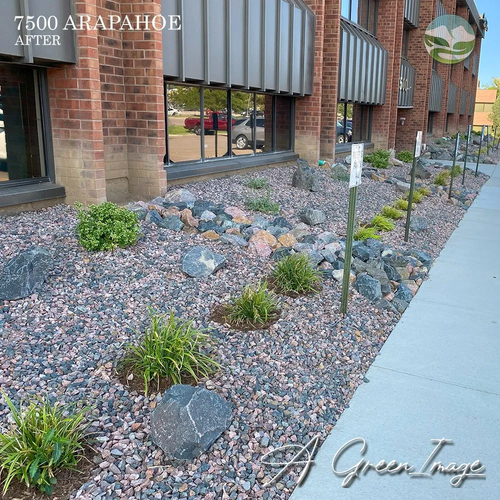 Top-rated yard cleanup service in Colorado Springs, CO - A Green Image