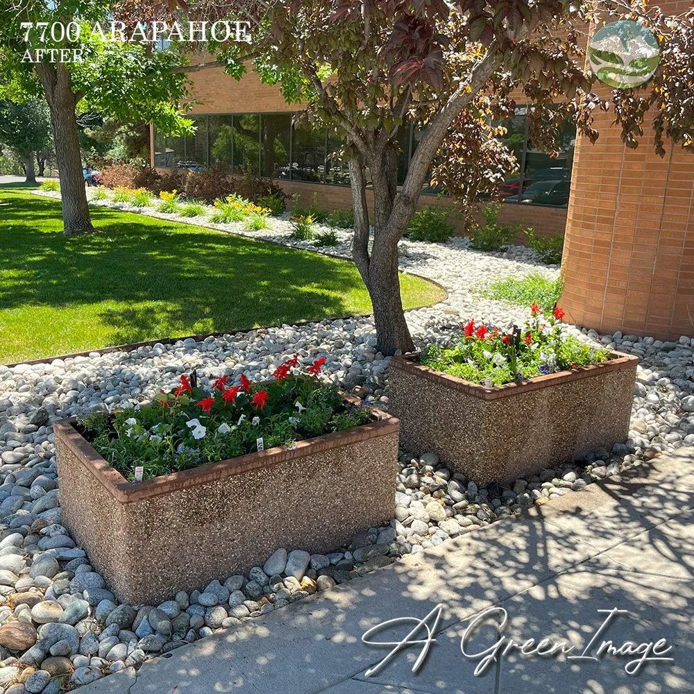 Reliable yard cleanup service in Colorado Springs, CO by A Green Image