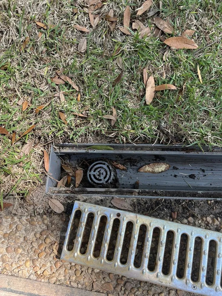 Reliable landscape installation in Tallahassee, FL - A Green Thumb