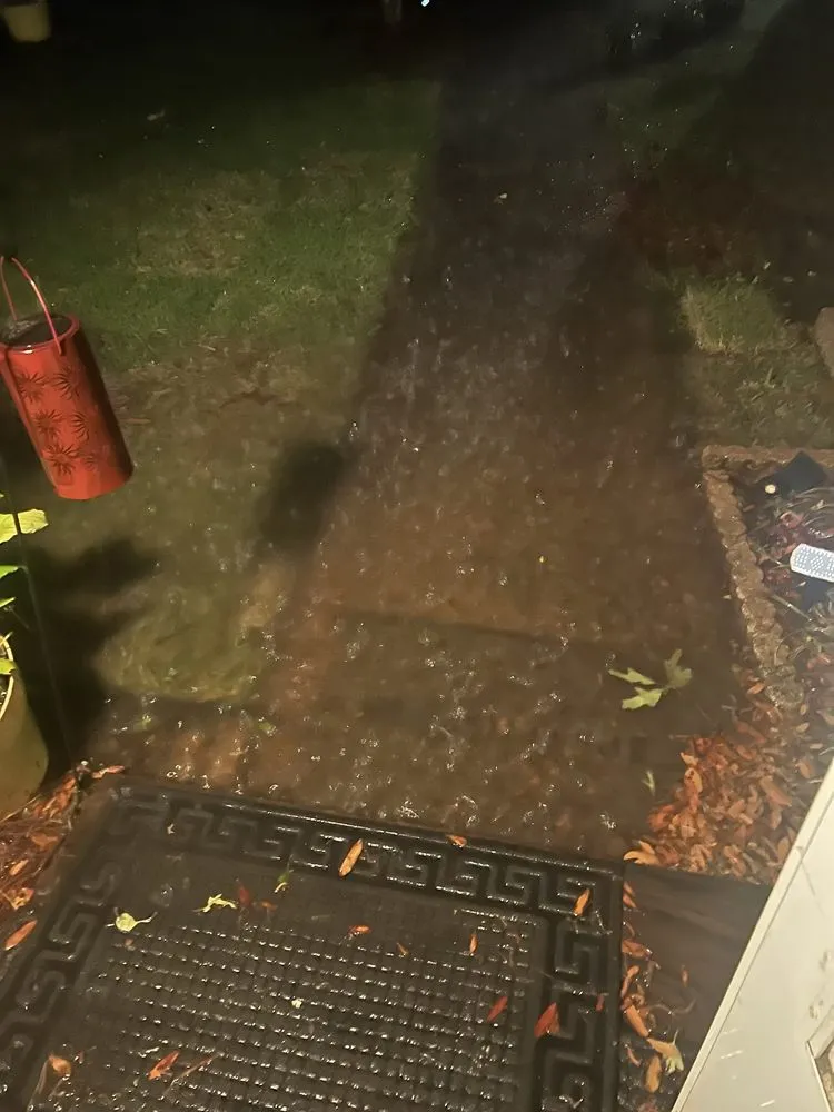 Professional outdoor landscaping in Tallahassee, FL - A Green Thumb