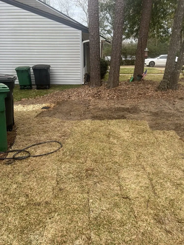 Professional landscaping services experts serving Tallahassee, FL - A Green Thumb