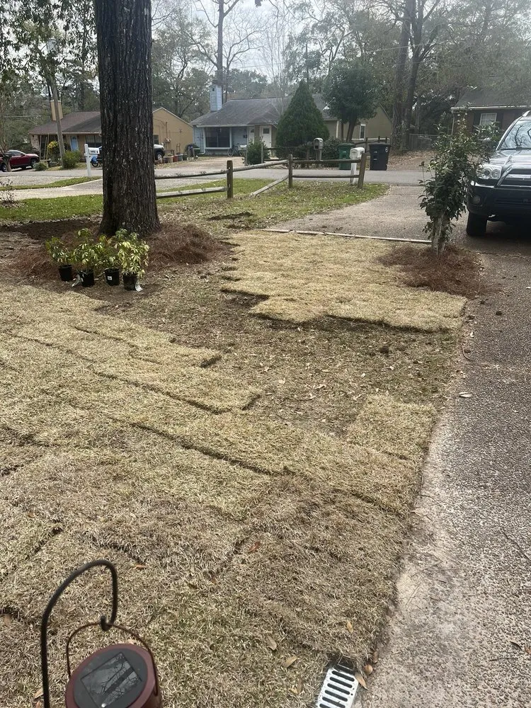 Professional residential landscaping in Tallahassee, FL by A Green Thumb