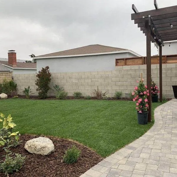 Top-rated yard cleanup service near you in Culver City, CA by A Greener Tomorrow