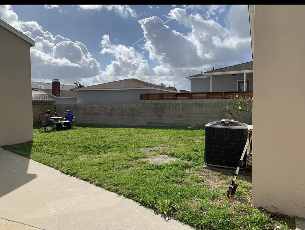 Expert residential landscaping in Culver City, CA by A Greener Tomorrow