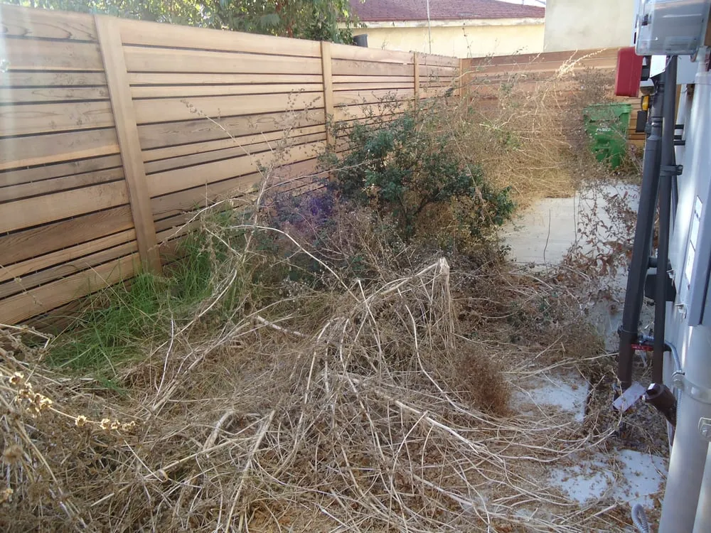 Top-rated outdoor landscaping for residential properties in Culver City, CA by A Greener Tomorrow