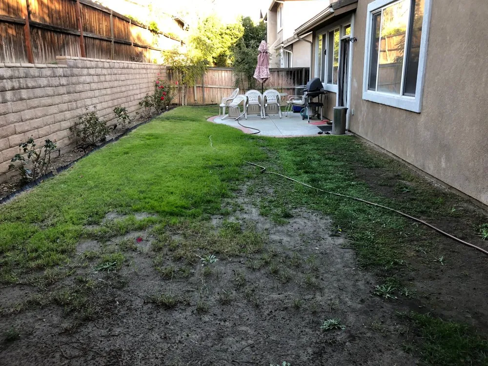 Affordable outdoor landscaping in Culver City, CA by A Greener Tomorrow