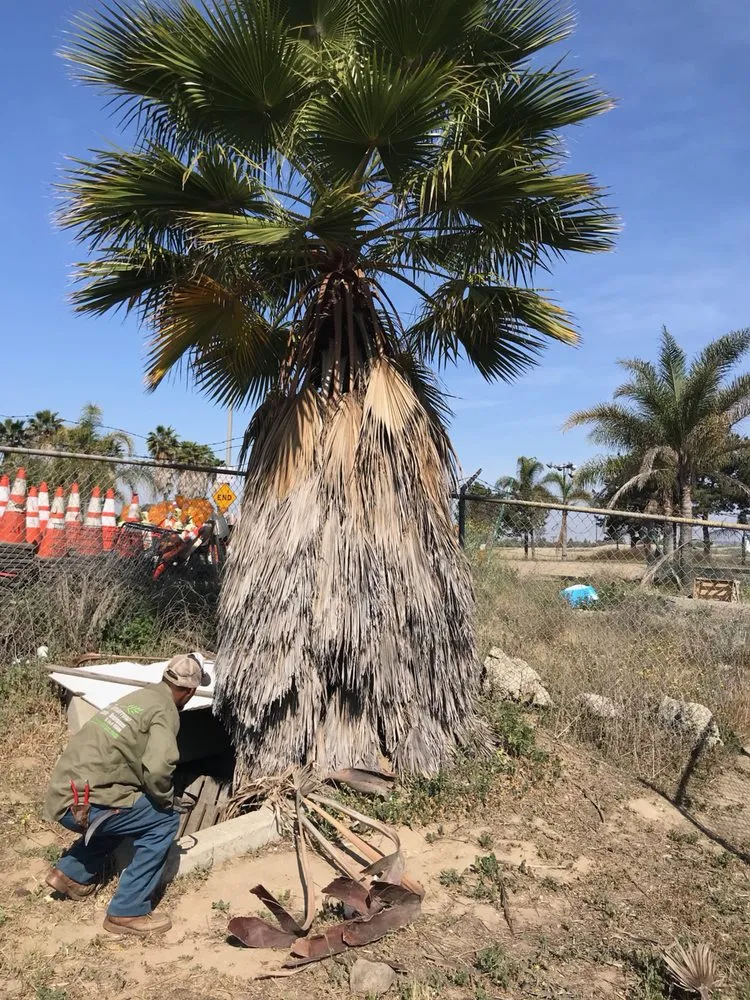 Trusted garden landscaping experts serving Culver City, CA - A Greener Tomorrow