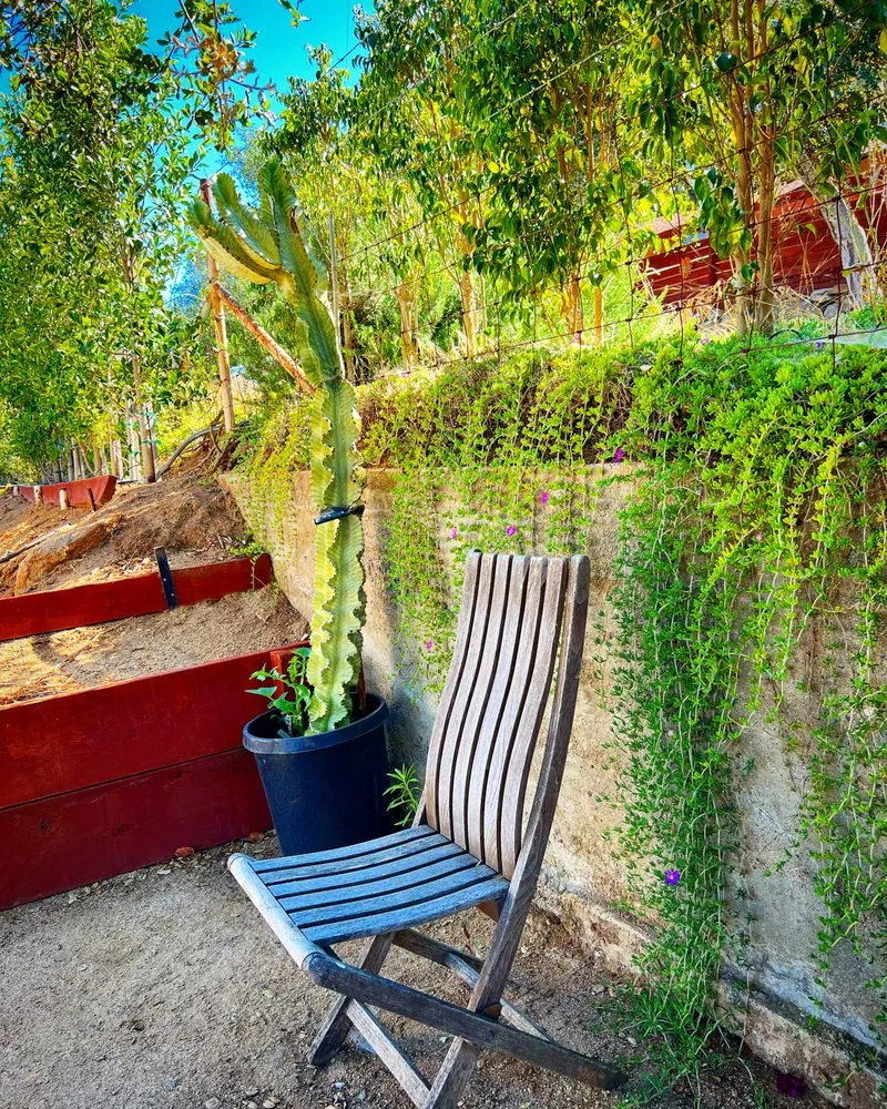 Local landscape installation for beautiful yards across Culver City, CA - A Greener Tomorrow