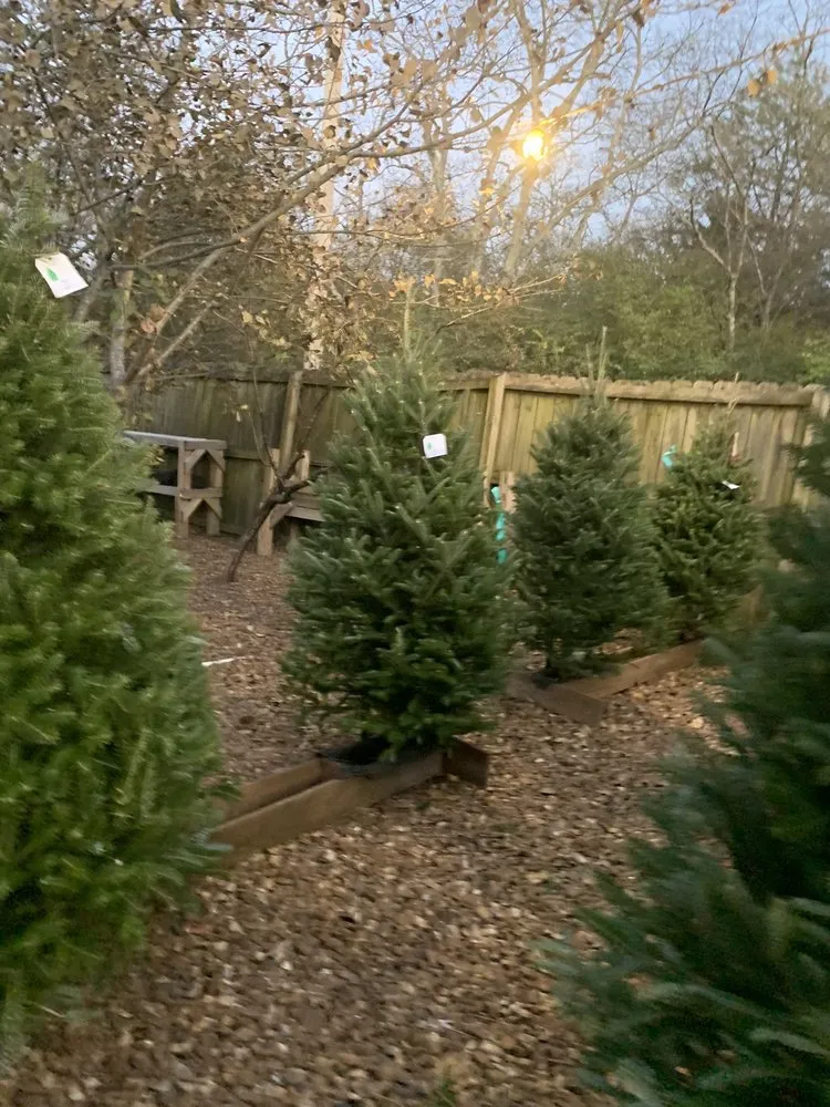 Reliable yard cleanup service experts serving Antioch, TN - A Greener Way