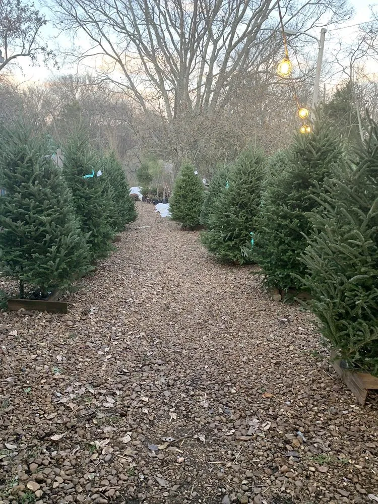 Expert yard cleanup service for year-round maintenance across Antioch, TN - A Greener Way