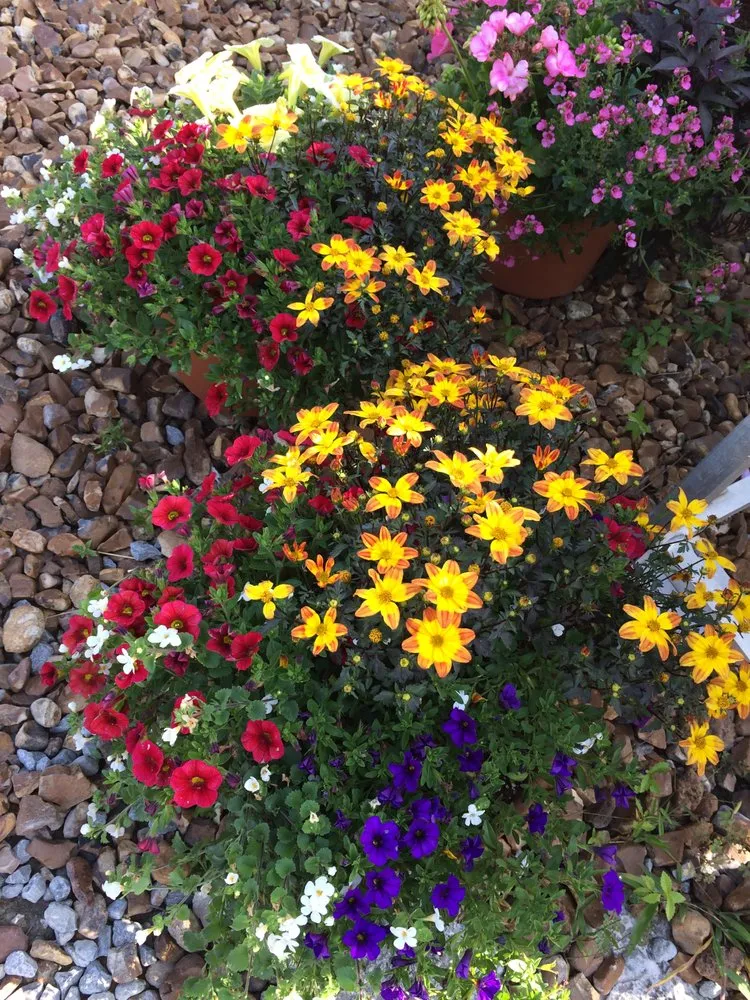 Reliable yard maintenance for homes in Antioch, TN by A Greener Way