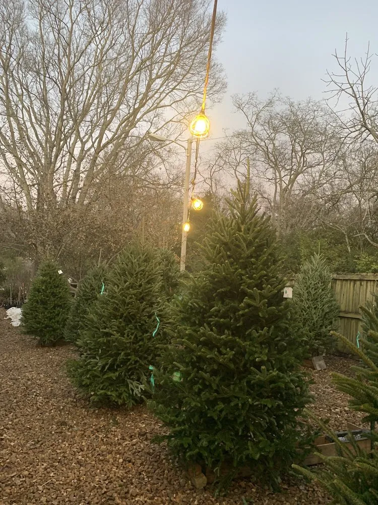 Reliable landscape installation experts serving Antioch, TN - A Greener Way