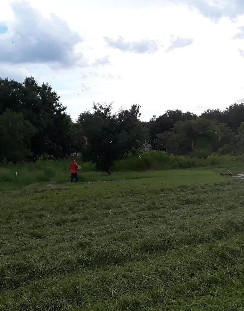 Affordable landscaping services in Orlando, FL - A Groomer Lawn & Tree Enterprise